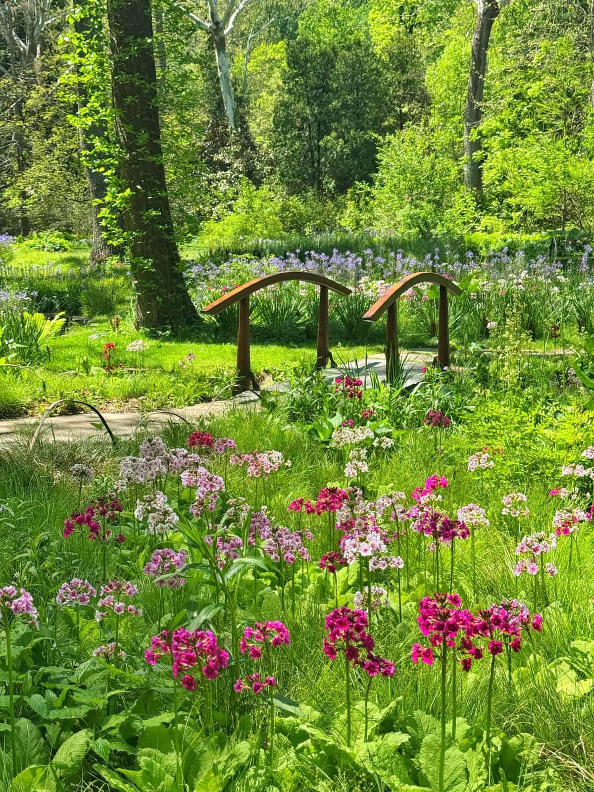 Chanticleer Garden