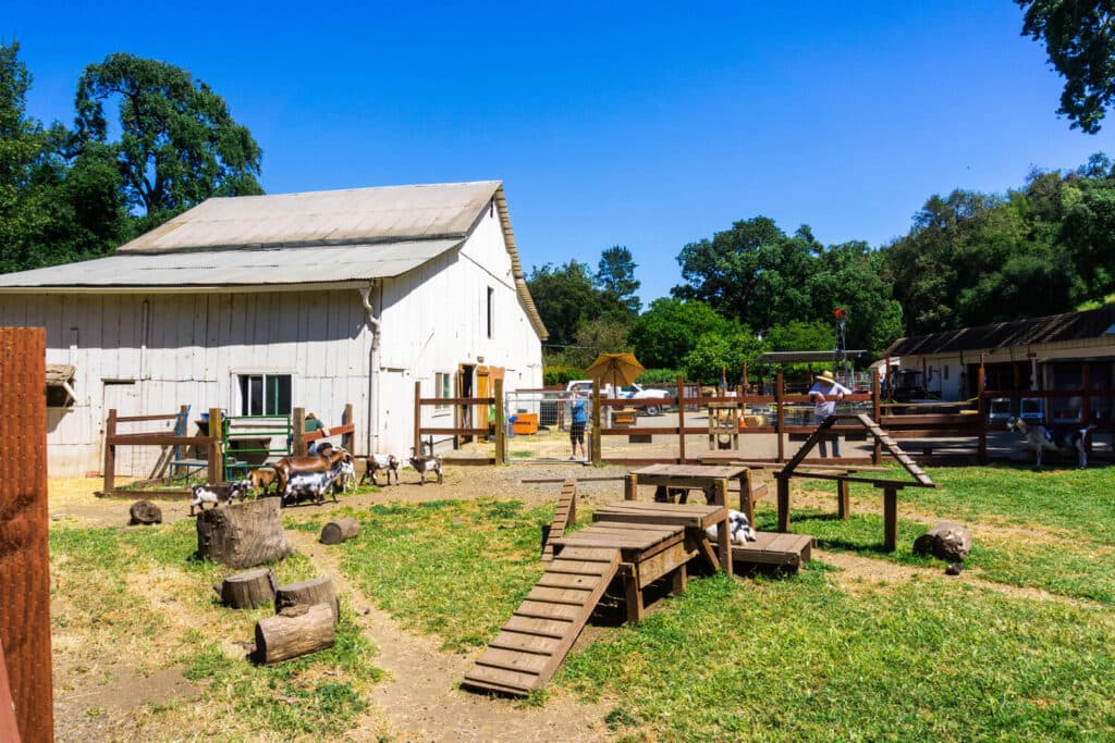 Deer Hollow Farm