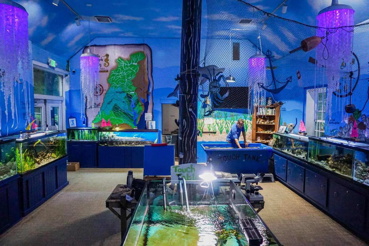 Glen Echo Park Aquarium