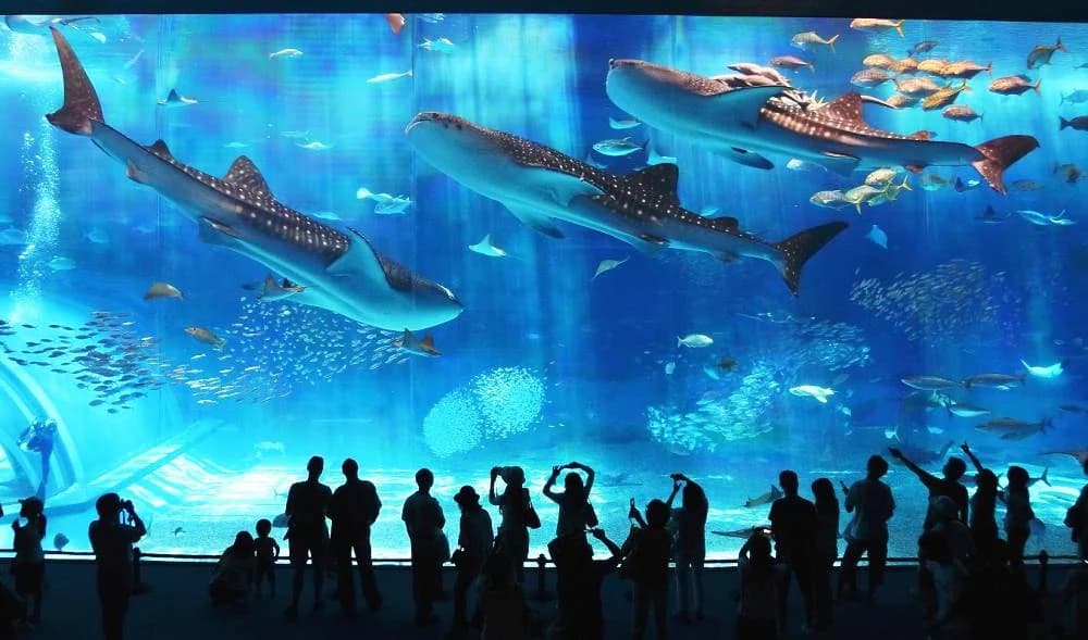 Austin Aquarium