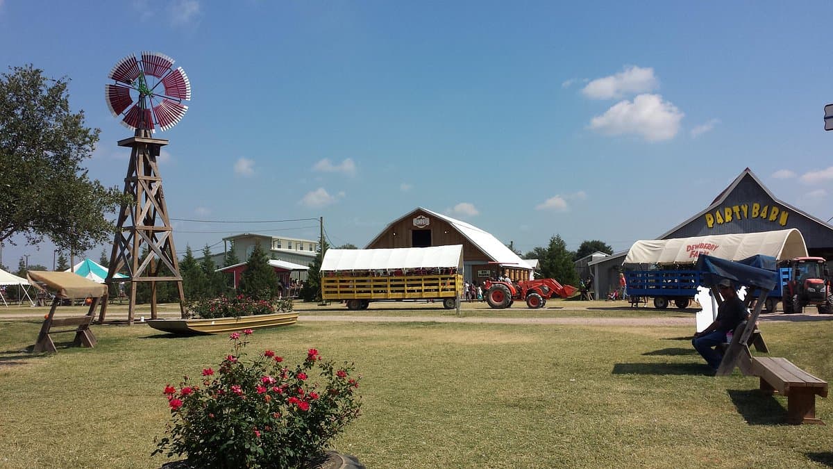 Dewberry Farm