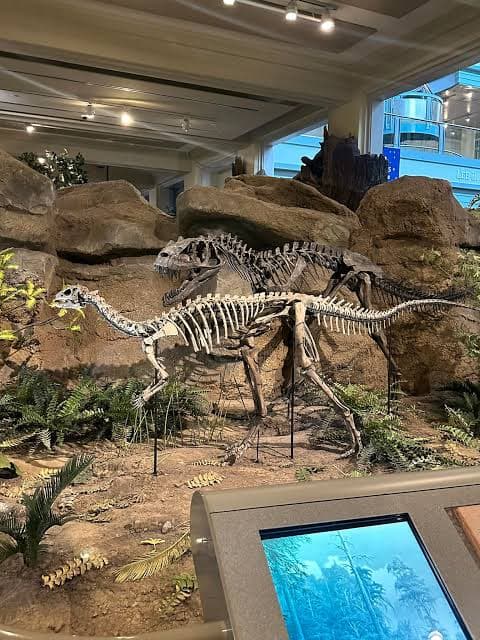 Akron Fossils & Science Center
