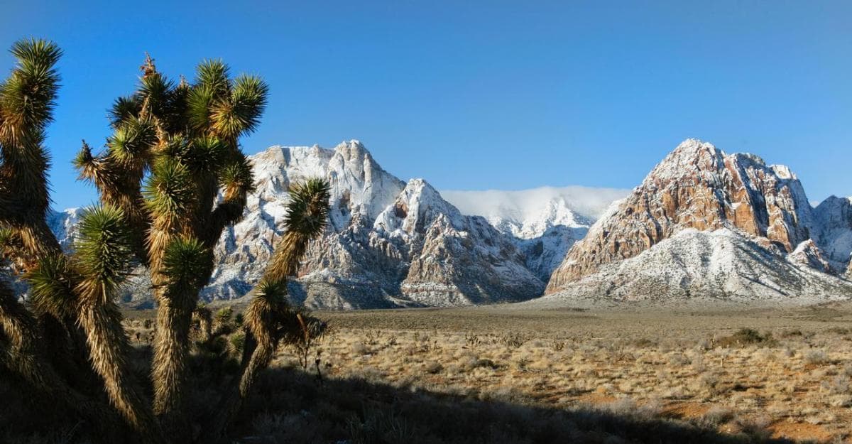 Red Rock Canyon National Conservation Area