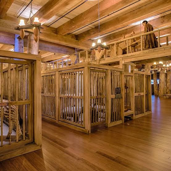 Ark Encounter