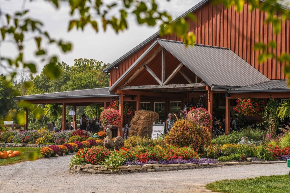 Blooms & Berries Farm