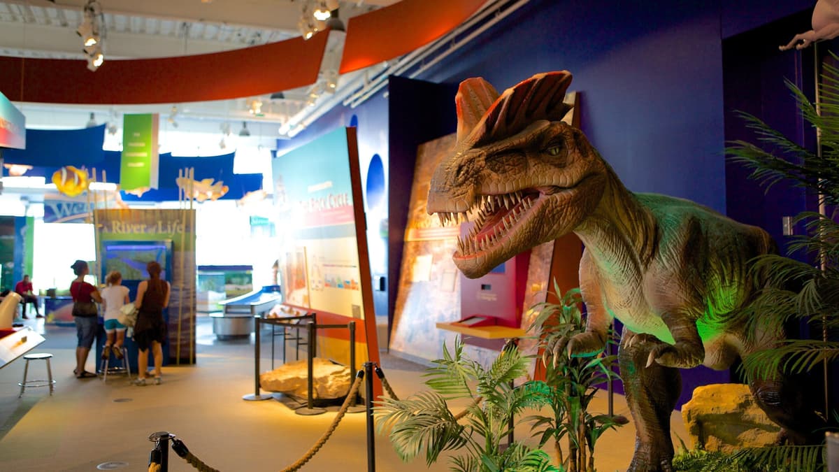 Connecticut Science Center