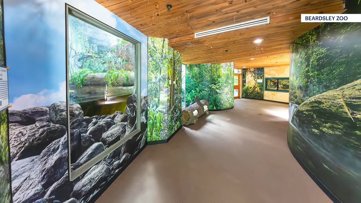 Connecticut's Beardsley Zoo