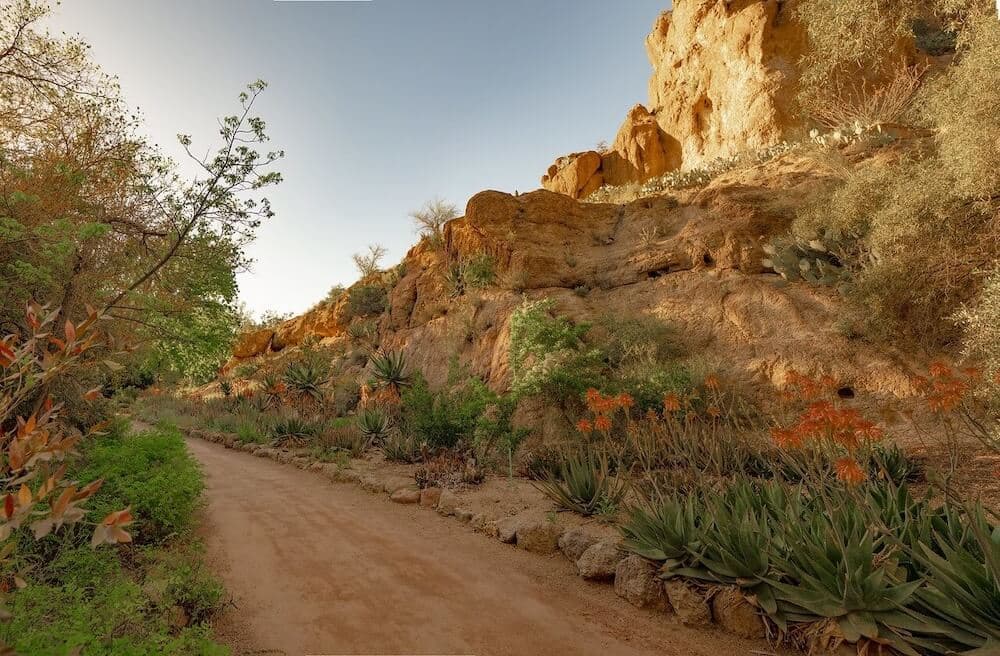 Boyce Thompson Arboretum