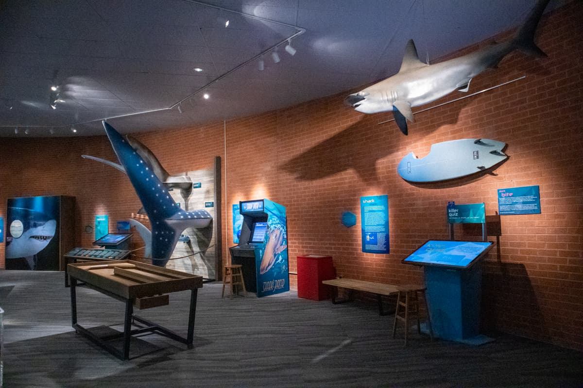Flandrau Science Center & Planetarium
