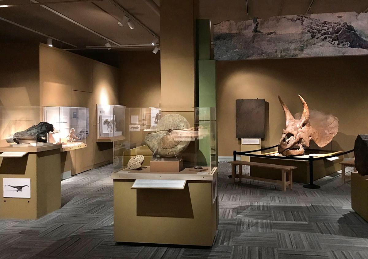CU Museum of Natural History