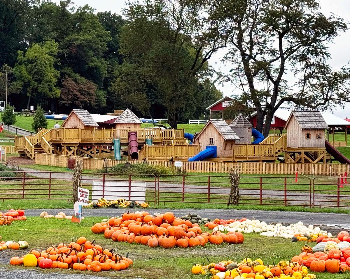Butler's Orchard