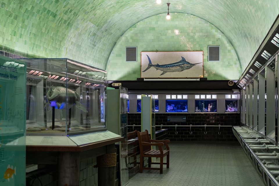 Belle Isle Aquarium