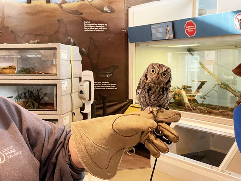 Lindsay Wildlife Experience