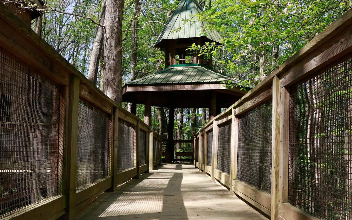 Sawnee Mountain Preserve