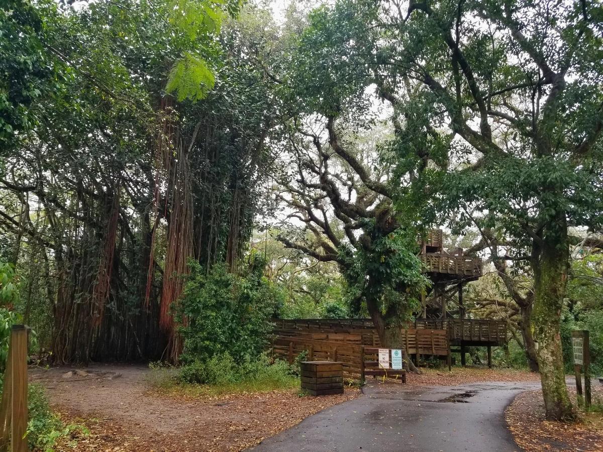 Tree Tops Park