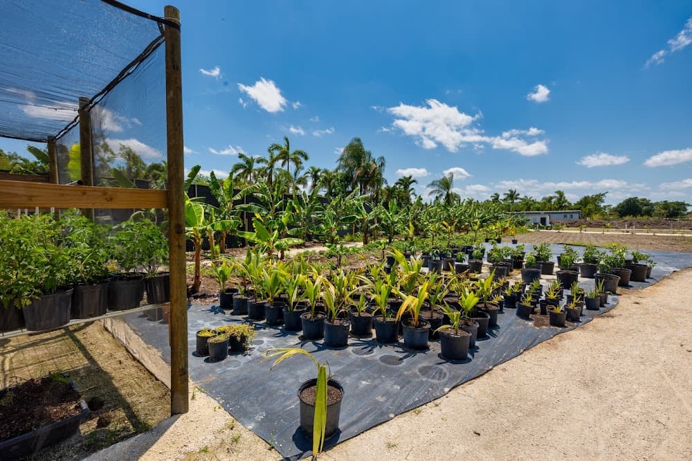 Tinez Farms