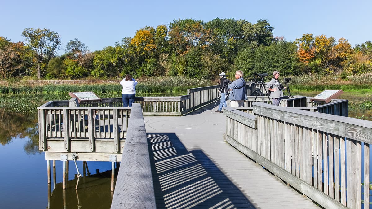 John Heinz National Wildlife Refuge at Tinicum