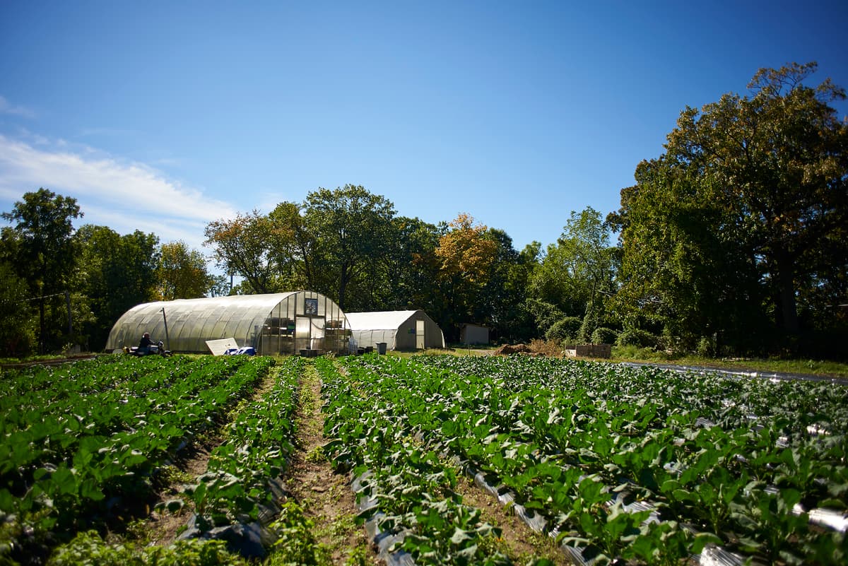 The Farm at Awbury