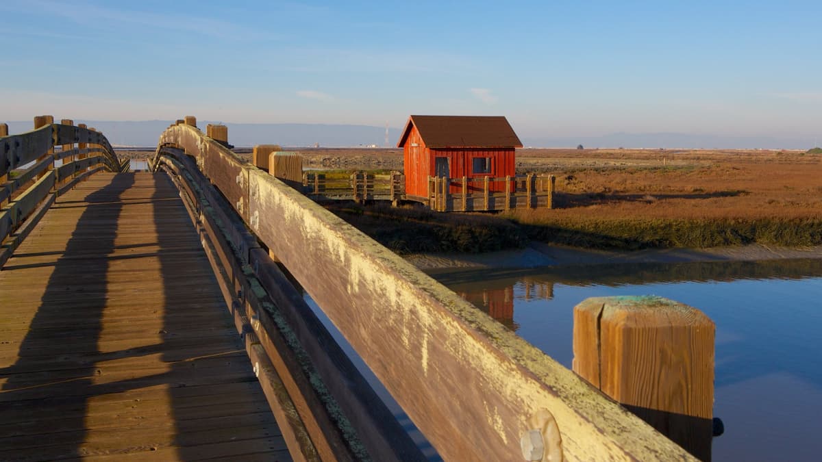 Don Edwards San Francisco Bay National Wildlife Refuge