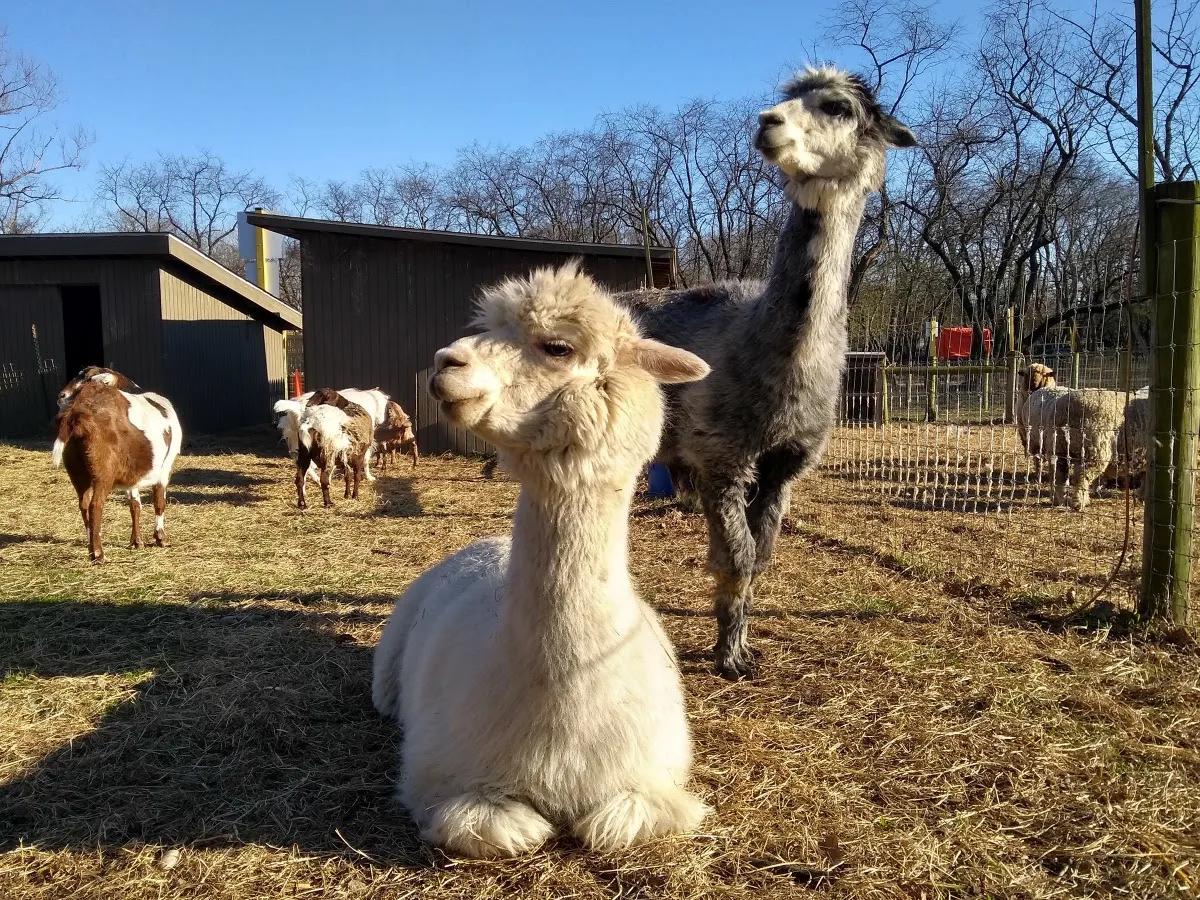 Queens County Farm Museum