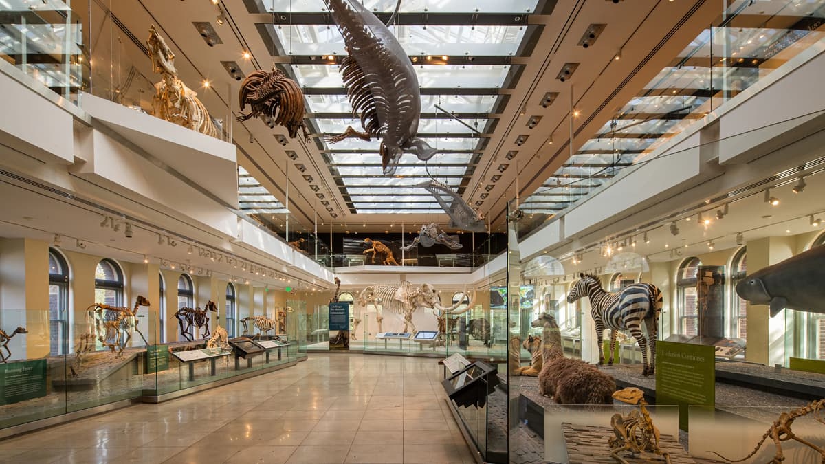 Natural History Museum of Los Angeles County