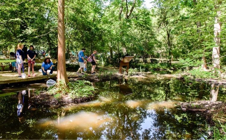 Nature Discovery Center