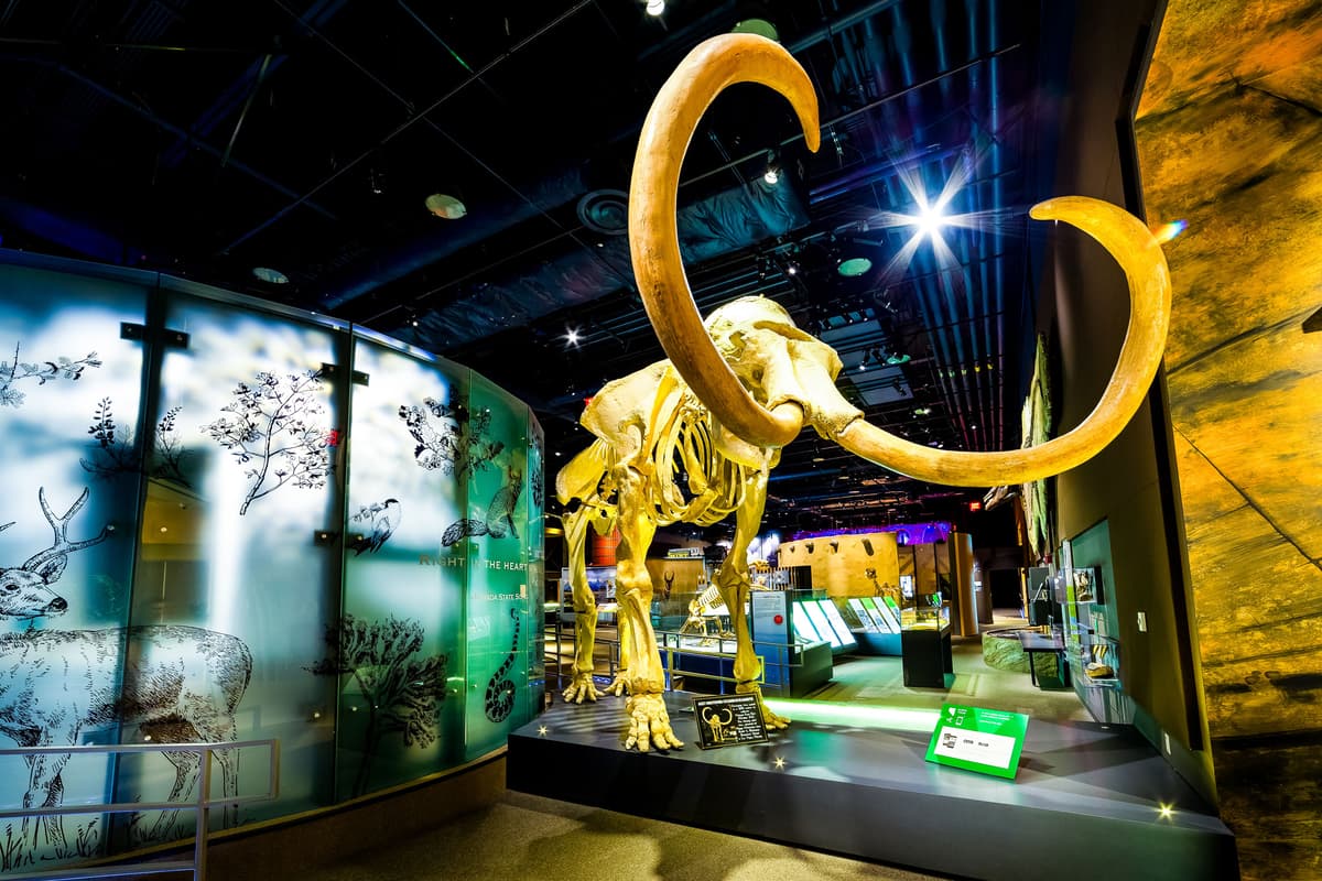 Nevada State Museum, Las Vegas