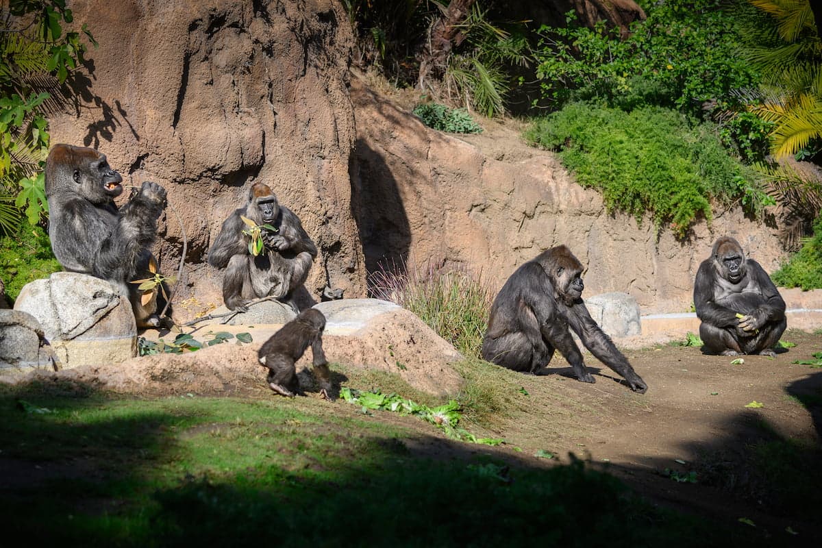 Los Angeles Zoo & Botanical Gardens