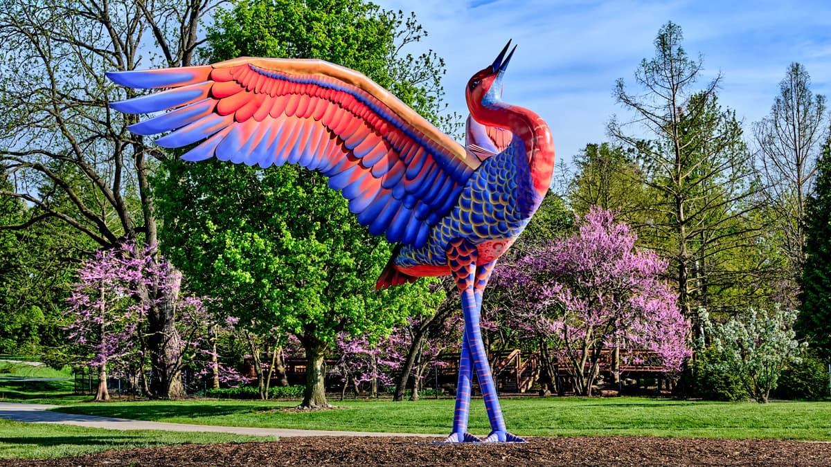 The Morton Arboretum