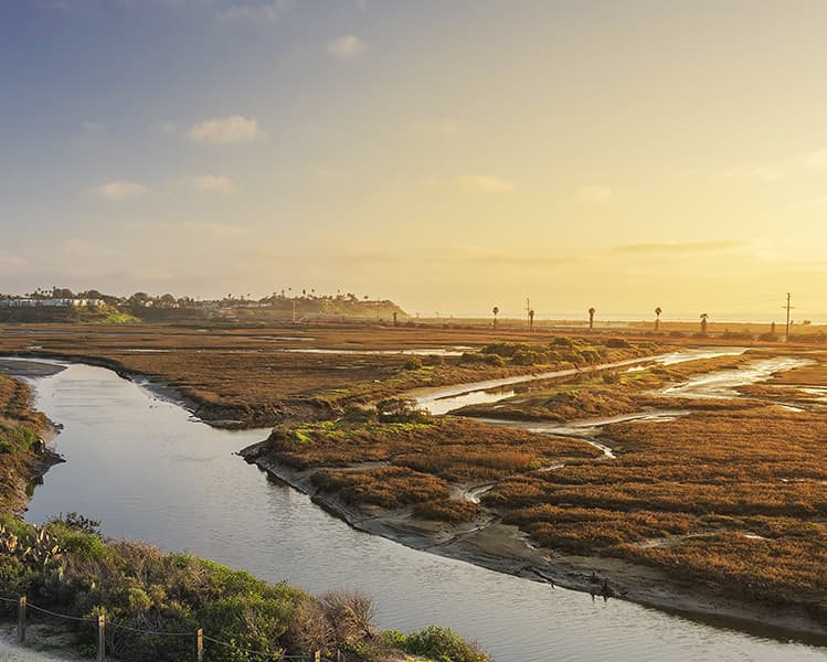 San Elijo Lagoon Nature Center