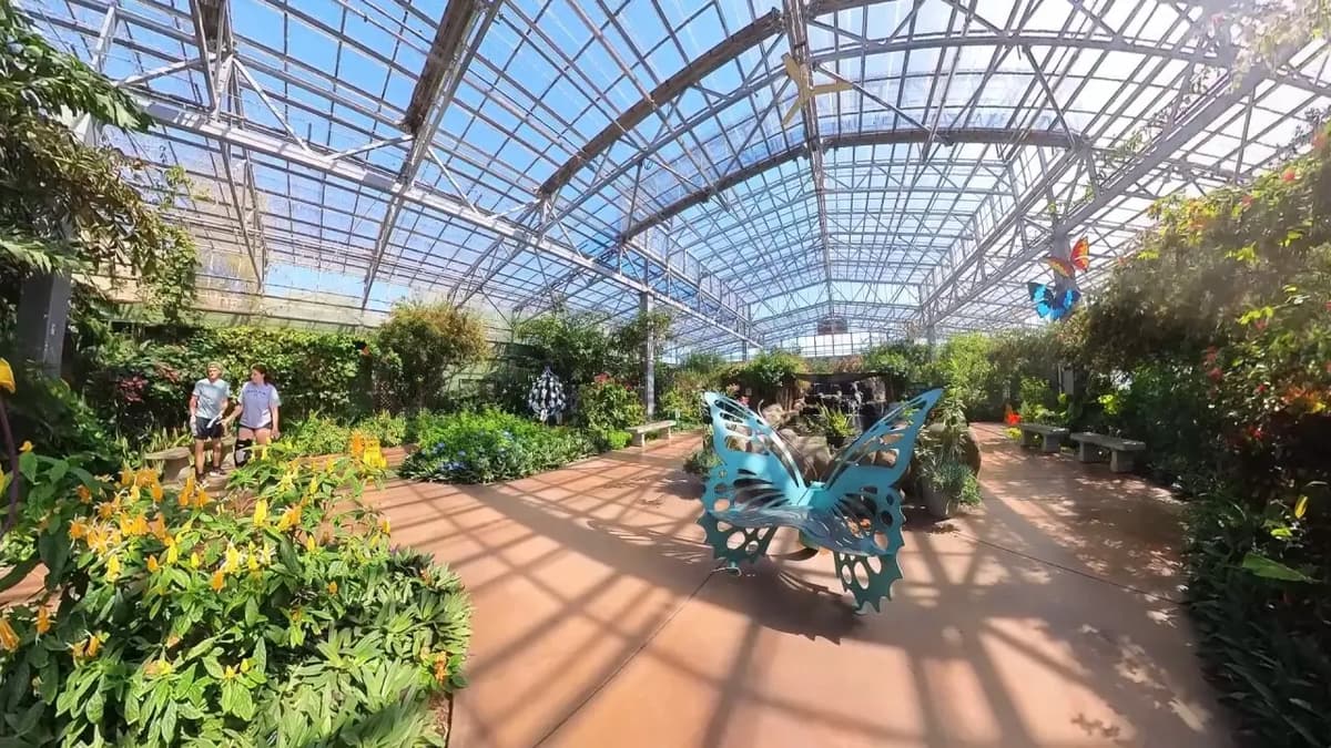 Butterfly Wonderland