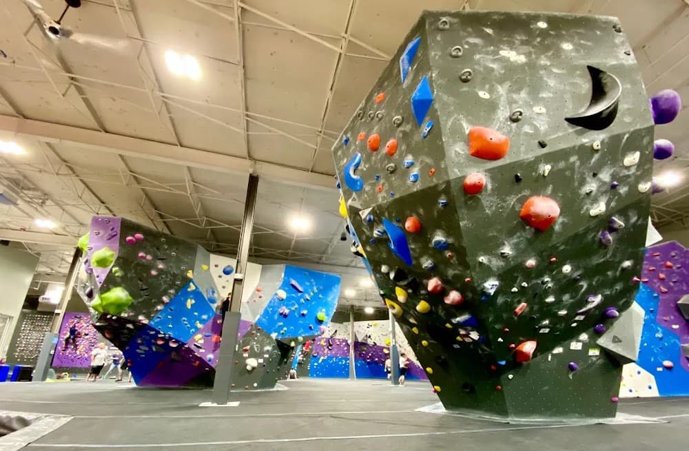 Movement Climbing, Yoga & Fitness (Hampden)