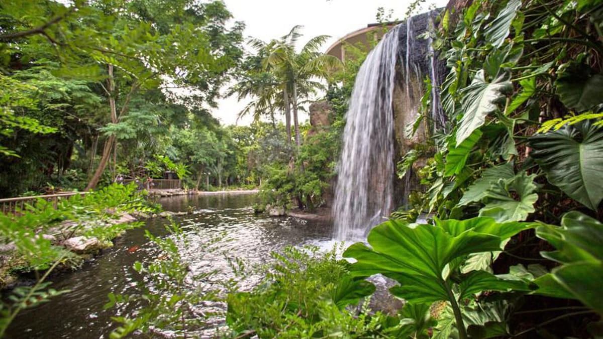 Jungle Island