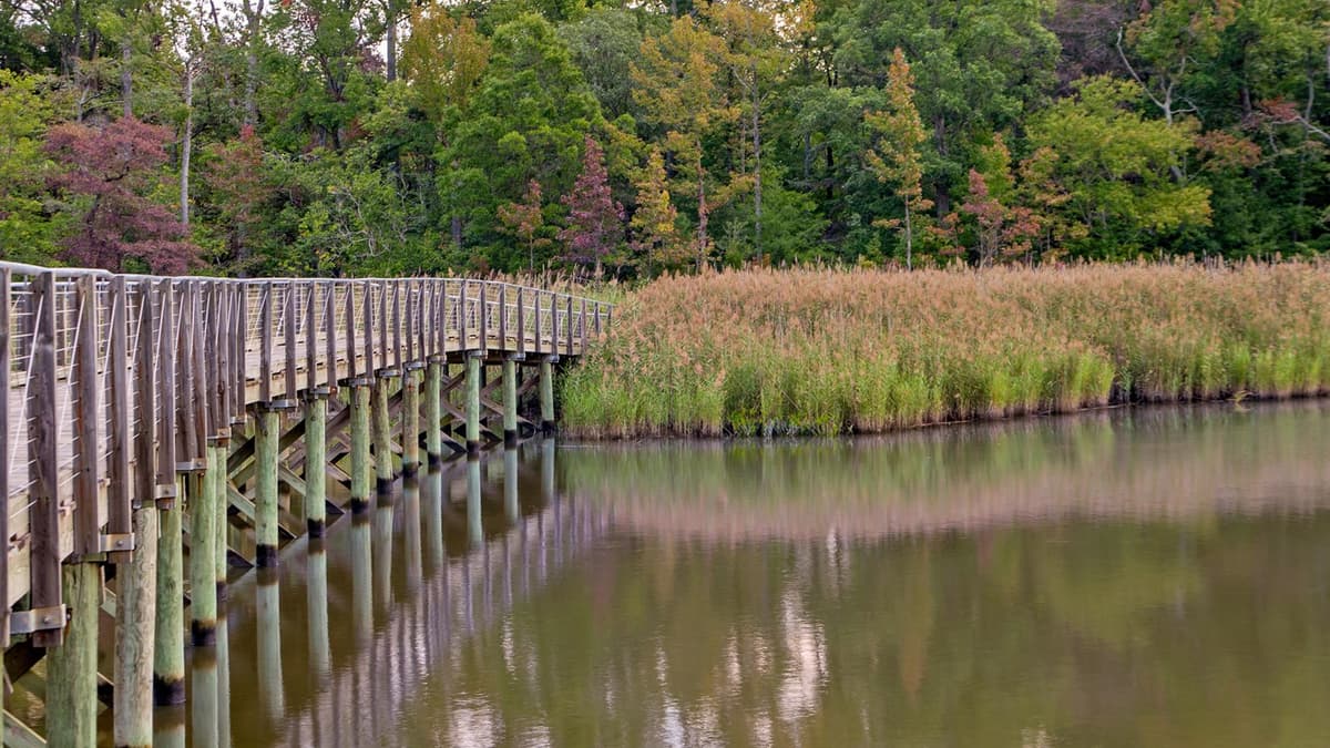 Marshy Point Nature Center