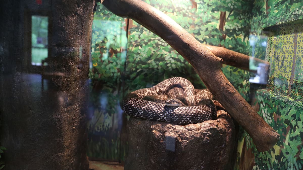 Stony Creek Metropark Nature Center