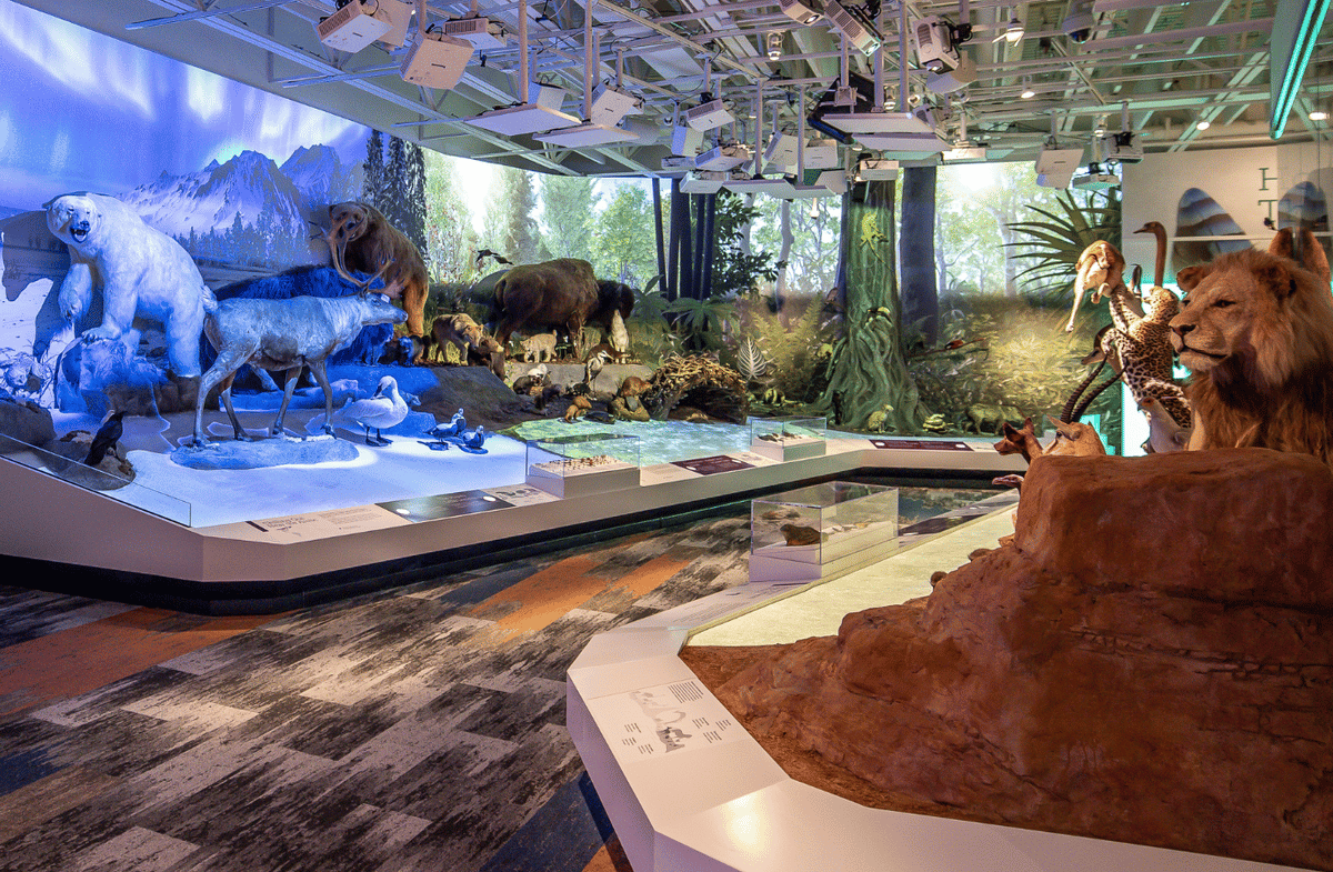 Cleveland Museum of Natural History