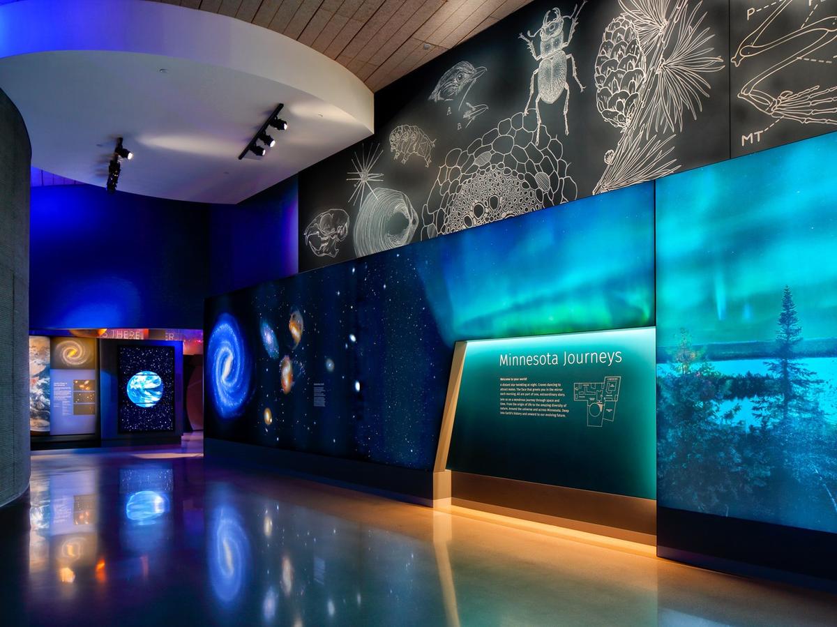 Bell Museum