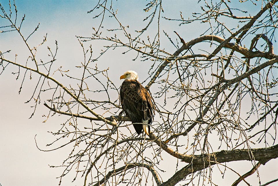 Minnesota Valley National Wildlife Refuge