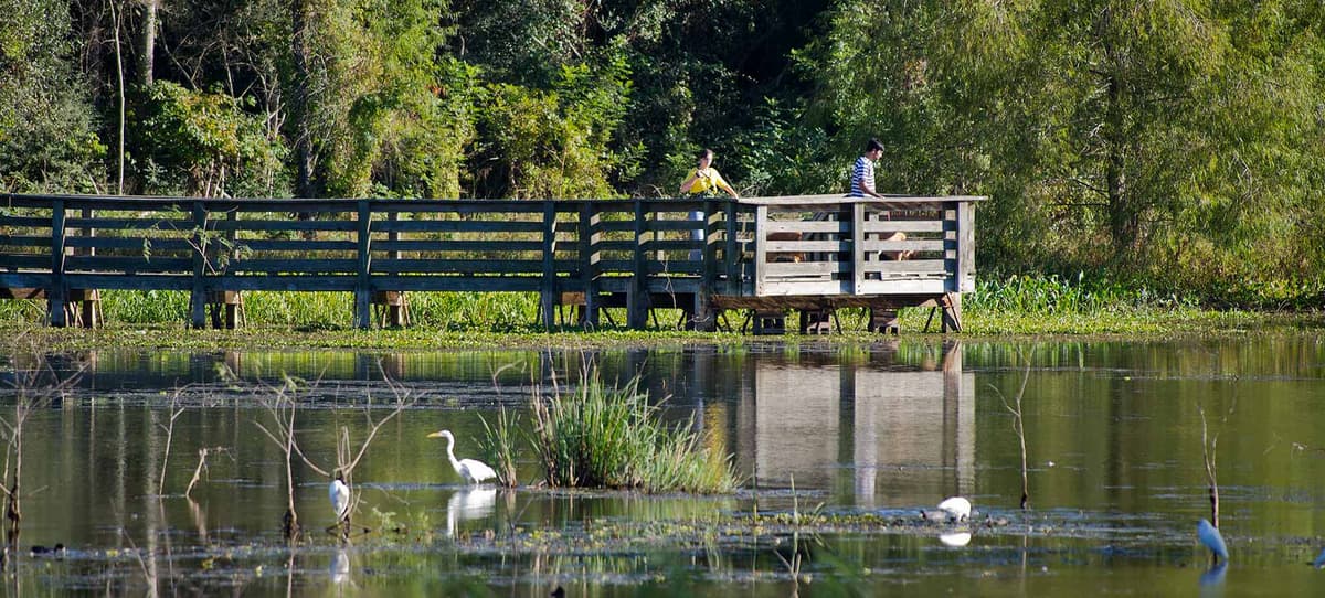 Brazos Bend State Park