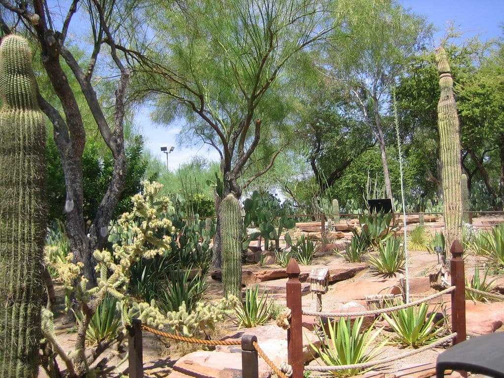 Ethel M Chocolates Botanical Cactus Garden