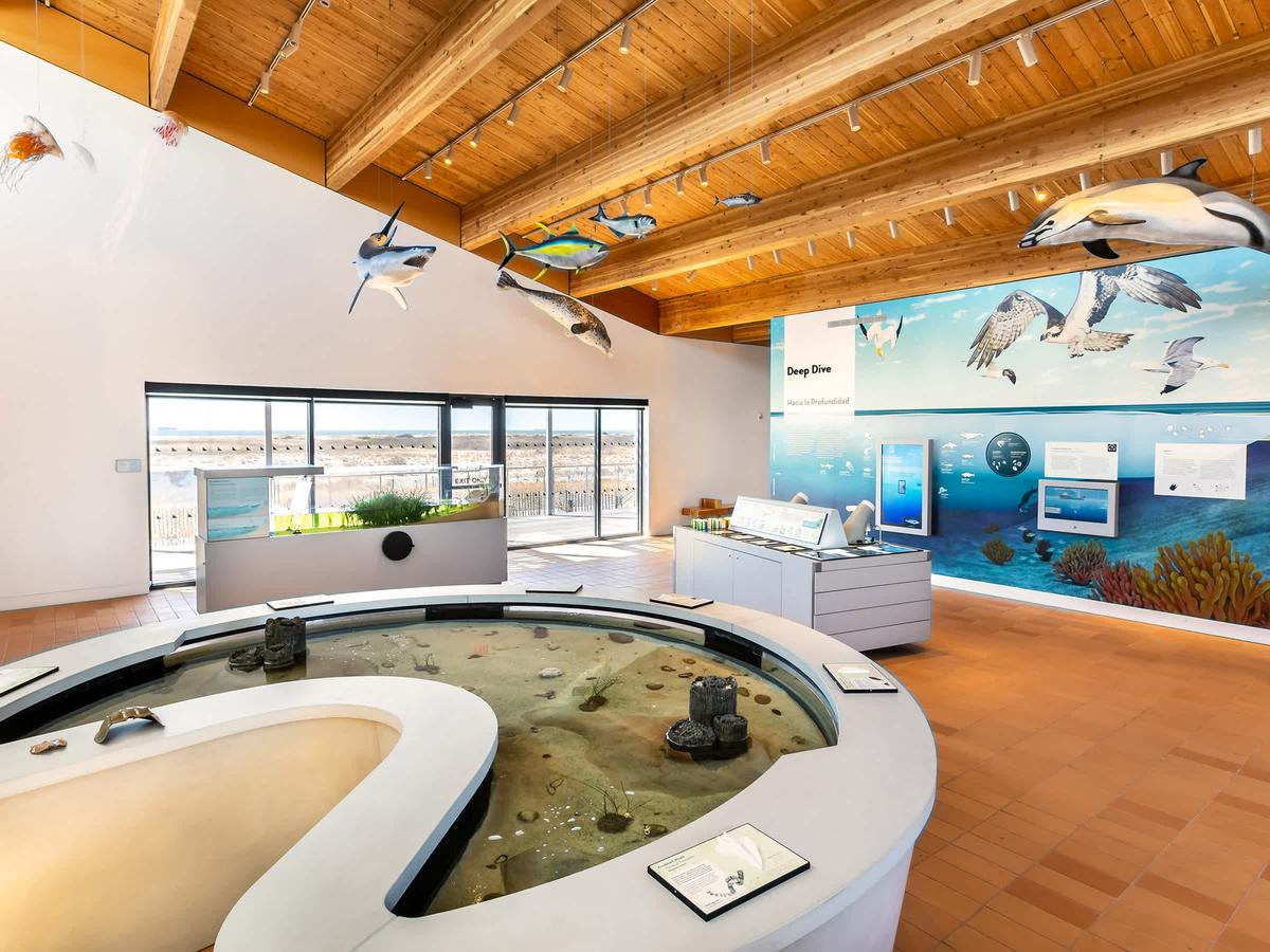 Jones Beach Energy & Nature Center