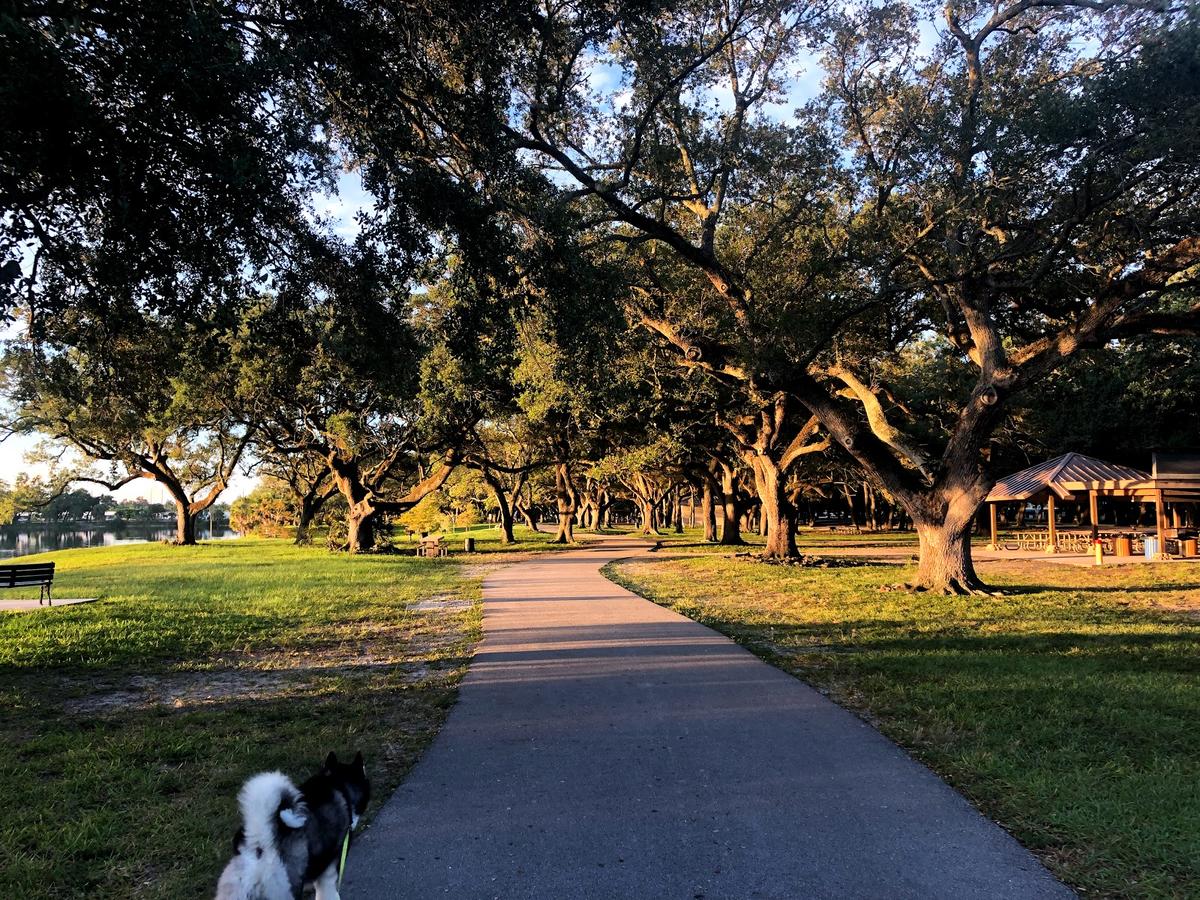 T.Y. (Topeekeegee Yugnee) Park