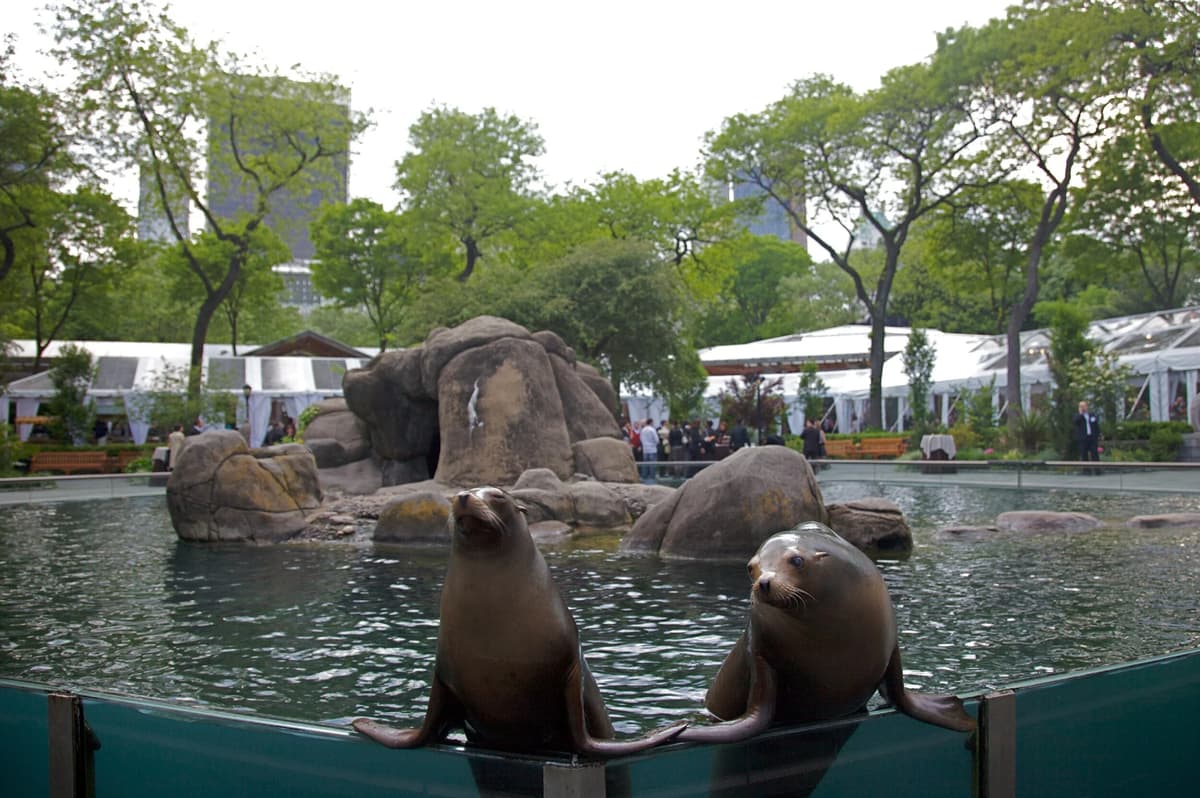 Central Park Zoo