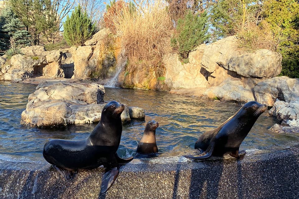 Queens Zoo