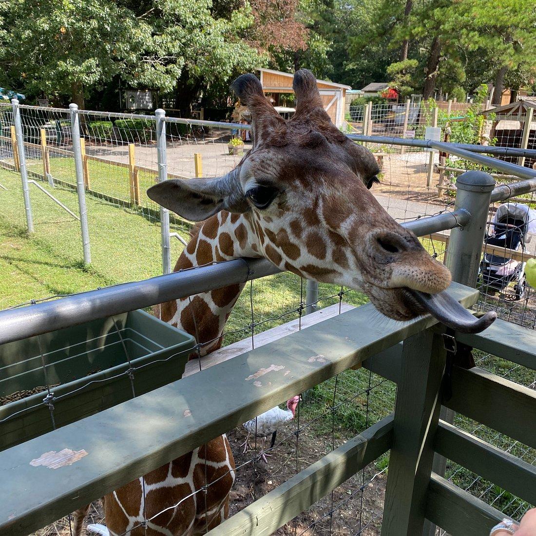 Long Island Game Farm