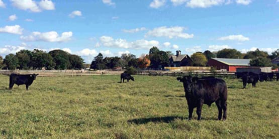 Suffolk County Farm and Education Center