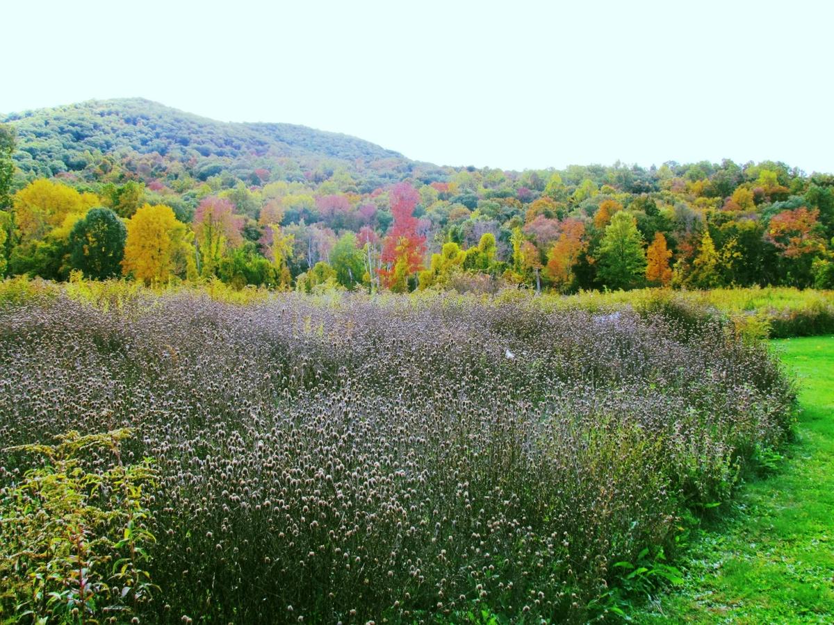 Hudson Highlands Nature Museum