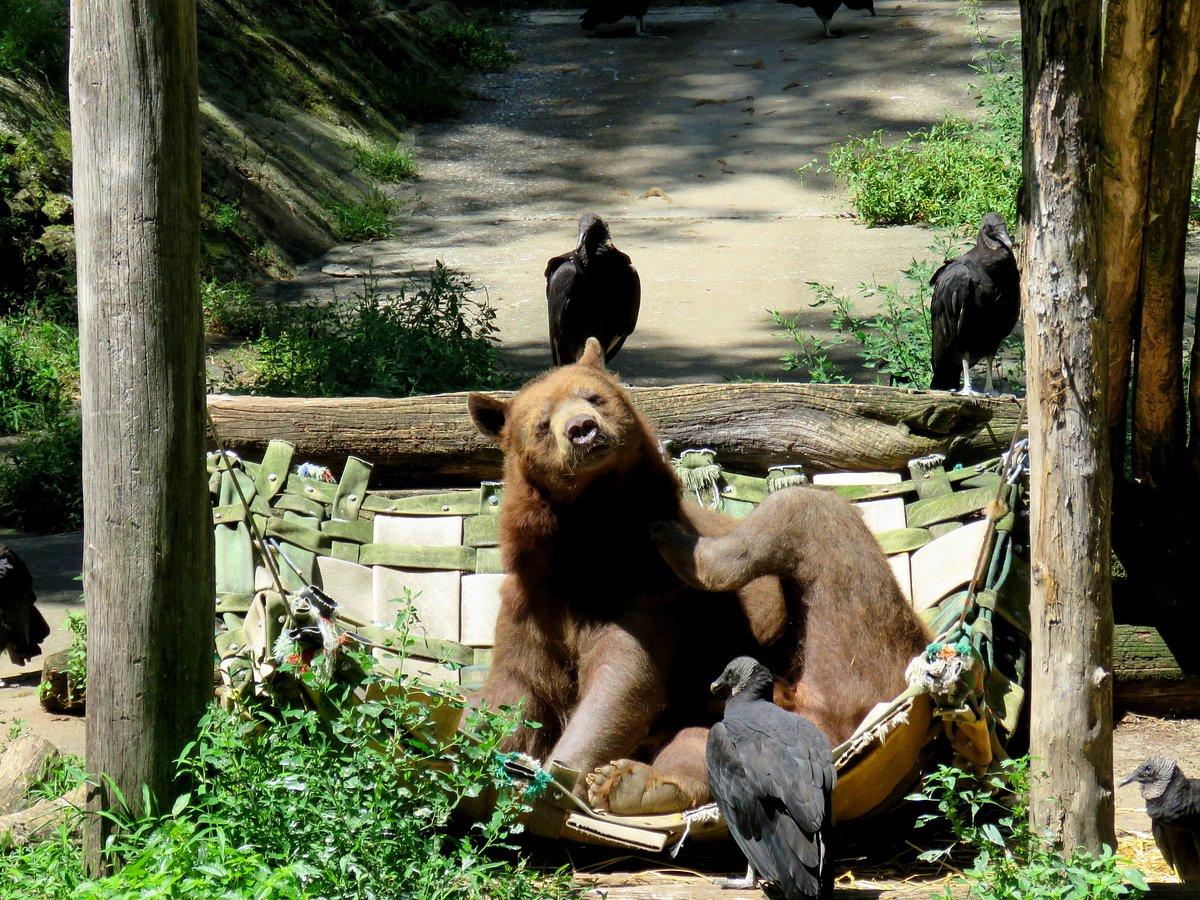 Trailside Museums and Zoo