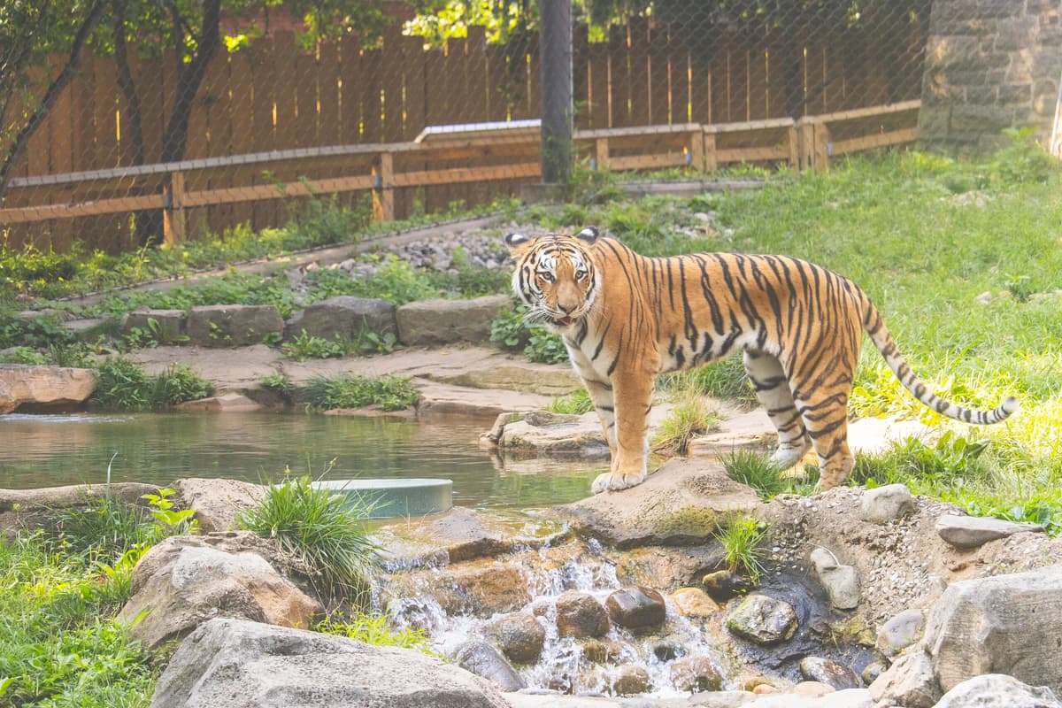 Philadelphia Zoo