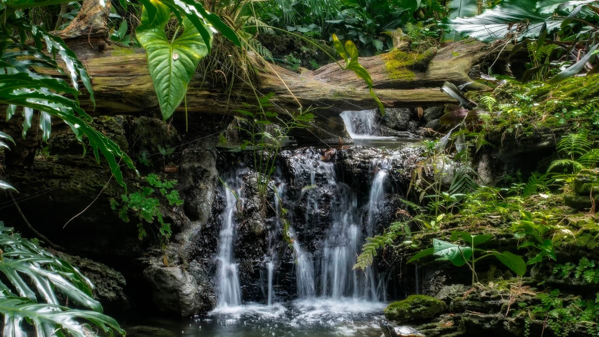Pinecrest Gardens